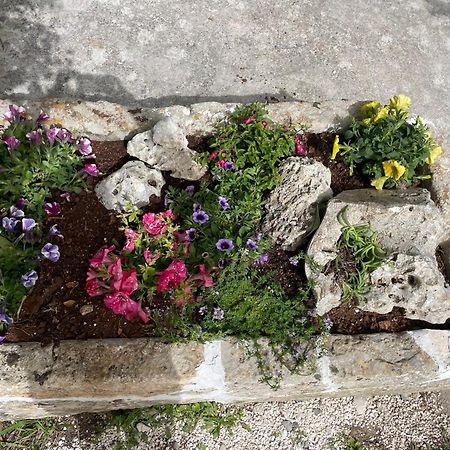 Willa Il Trullo Di Nonno Licchio Alberobello Zewnętrze zdjęcie