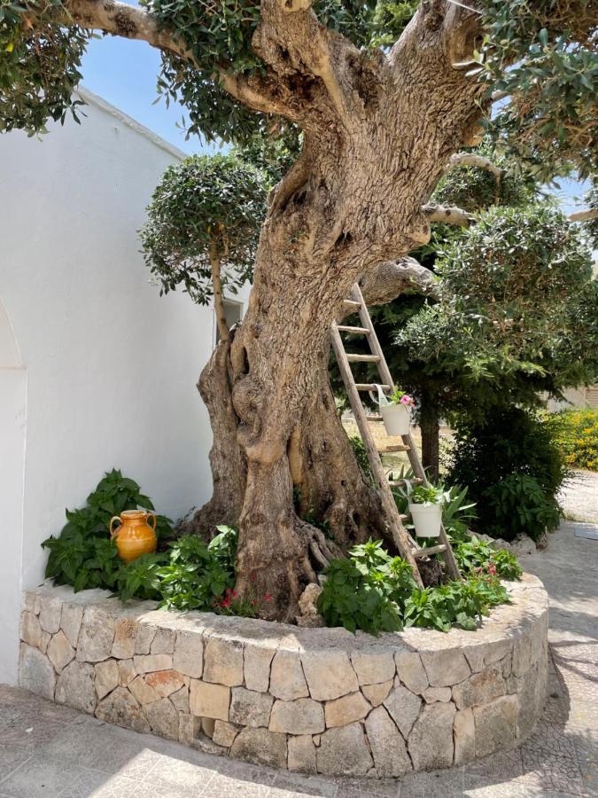 Willa Il Trullo Di Nonno Licchio Alberobello Zewnętrze zdjęcie