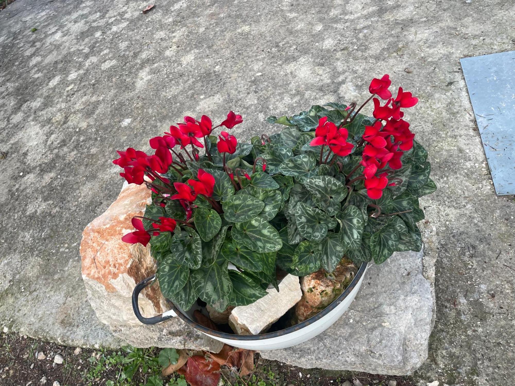 Willa Il Trullo Di Nonno Licchio Alberobello Zewnętrze zdjęcie