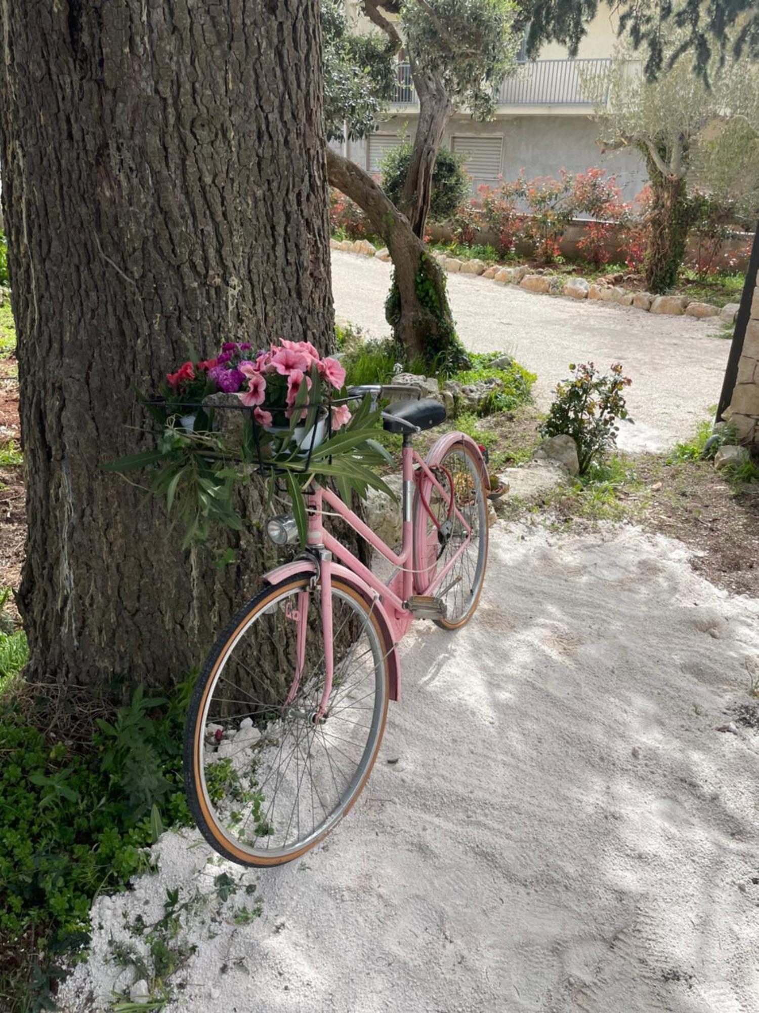 Willa Il Trullo Di Nonno Licchio Alberobello Zewnętrze zdjęcie